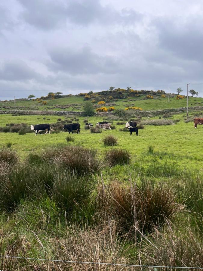 Lacken Farmyard Kilmihil Екстер'єр фото